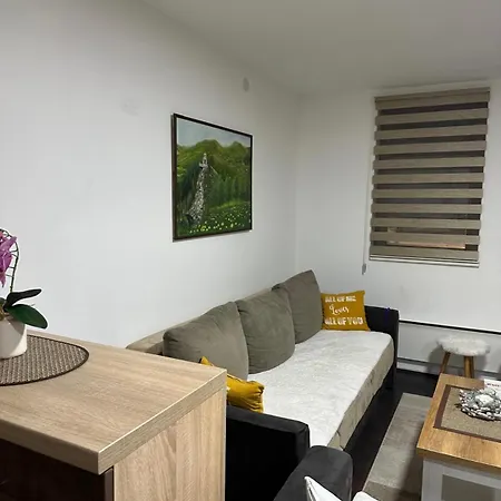 Apartament Suncani Breg 7 *